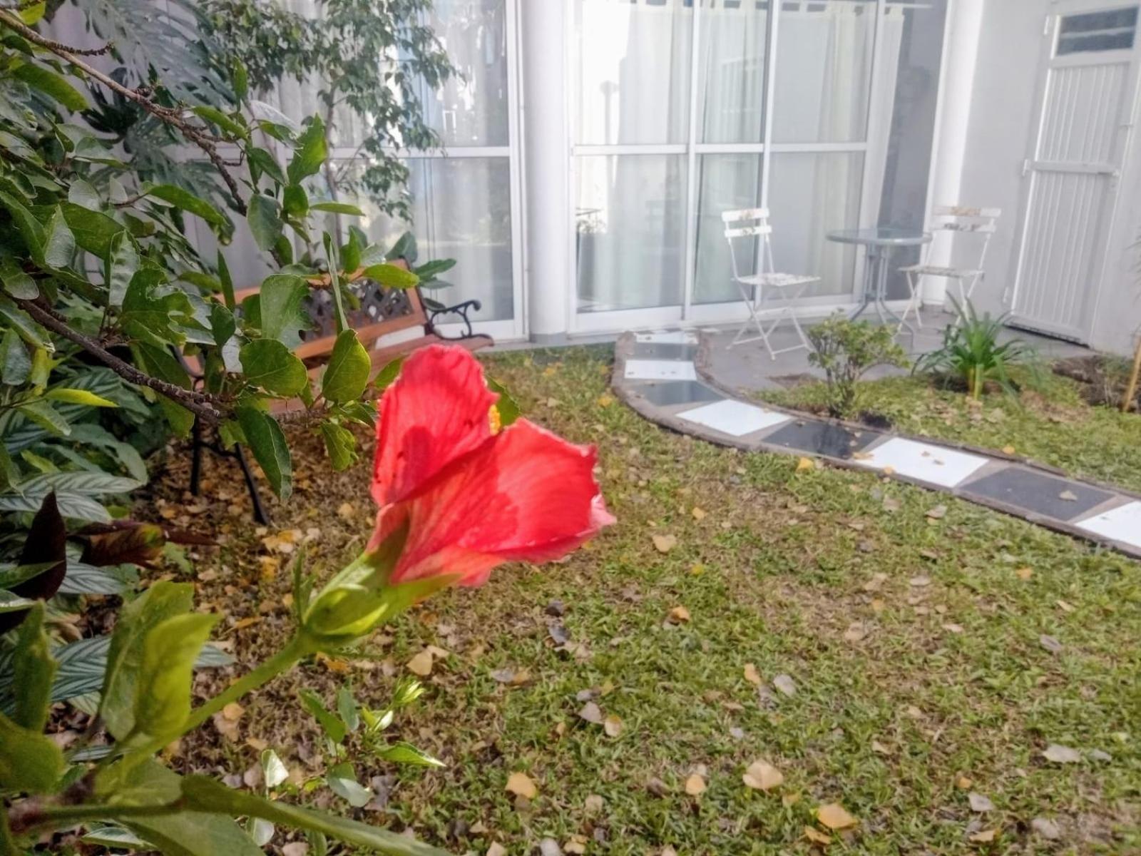 Raiz Del Cielo, Entre 2 Jardines De Ensueno Apartment Cordoba Exterior photo